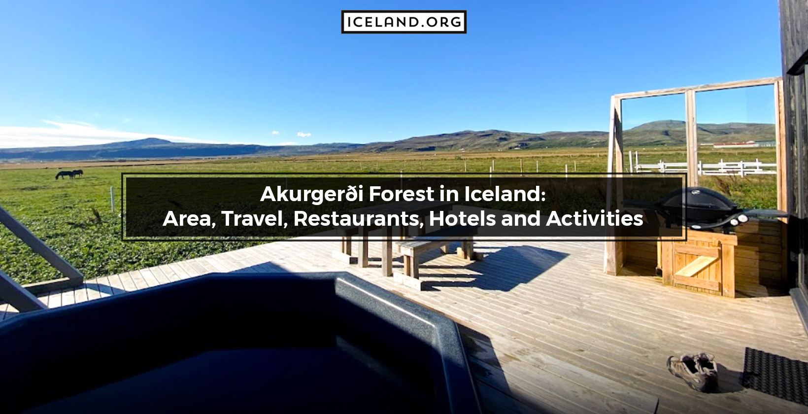 Akurgerði Forest in Iceland