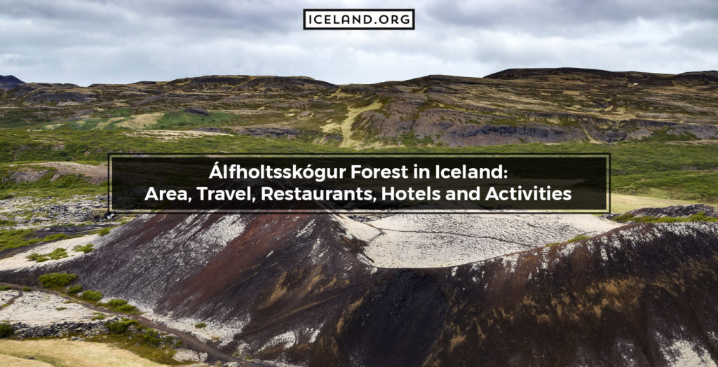Álfholtsskógur Forest in Iceland