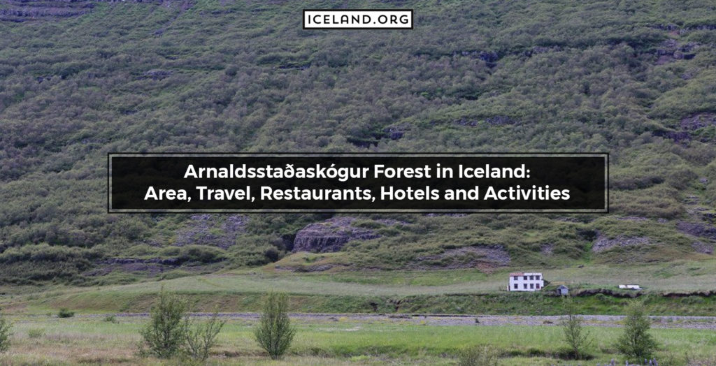 Arnaldsstaðaskógur Forest in Iceland