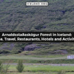 Arnaldsstaðaskógur Forest in Iceland