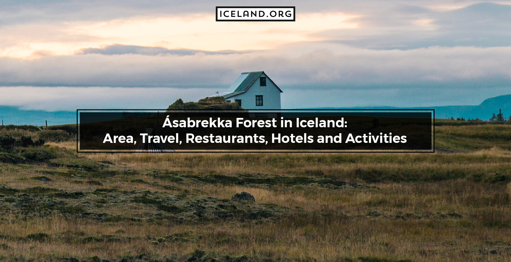 Ásabrekka Forest in Iceland