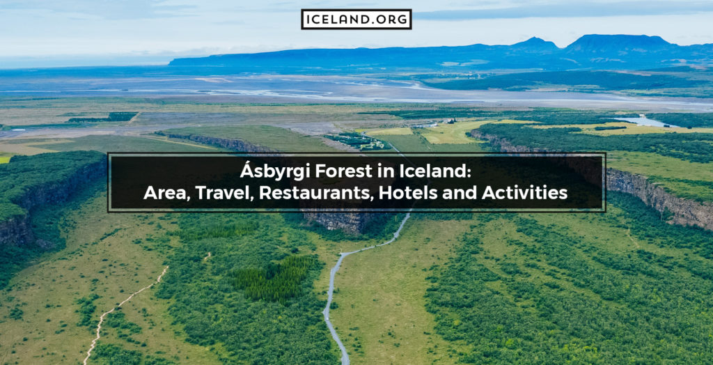 Ásbyrgi Forest in Iceland