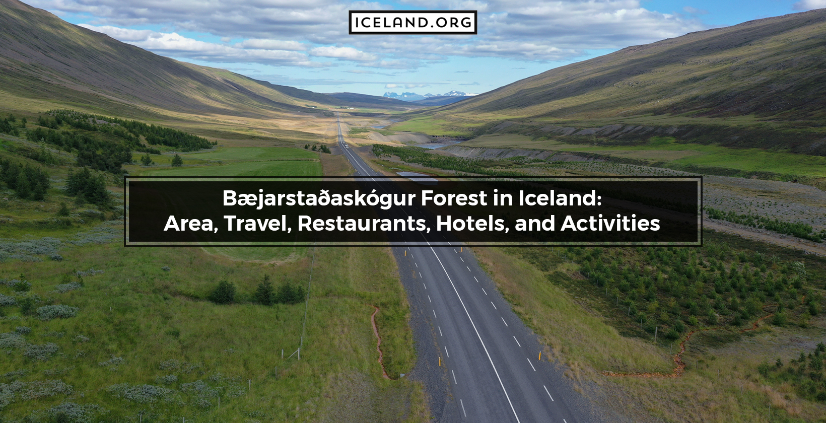 Bæjarstaðaskógur Forest in Iceland