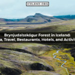 Brynjudalsskógur Forest in Iceland