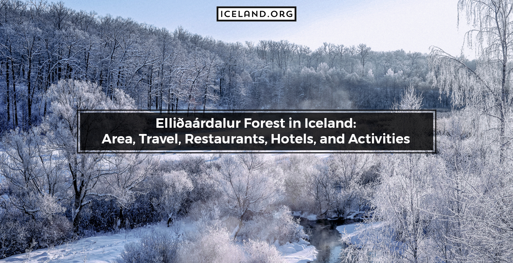 Elliðaárdalur Forest in Iceland