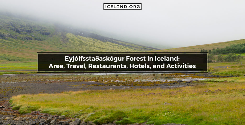 Eyjólfsstaðaskógur Forest in Iceland
