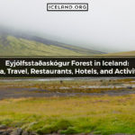Eyjólfsstaðaskógur Forest in Iceland