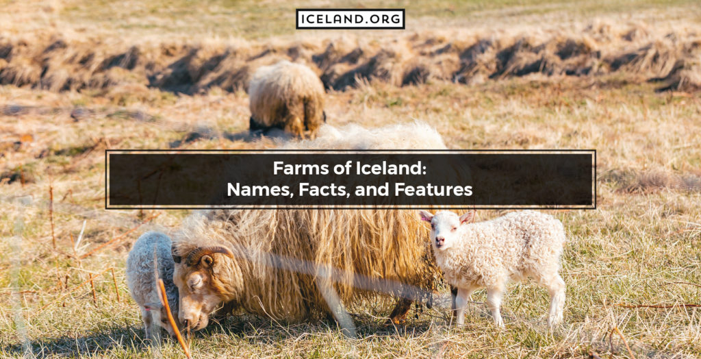 Farms of Iceland