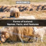 Farms of Iceland