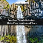 Svartifoss Waterfall in Iceland