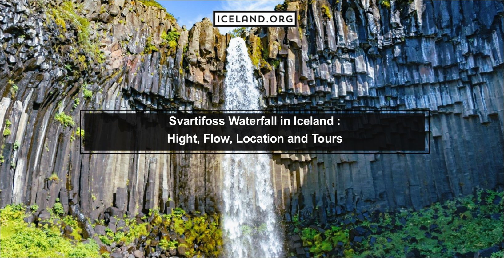 Svartifoss Waterfall in Iceland