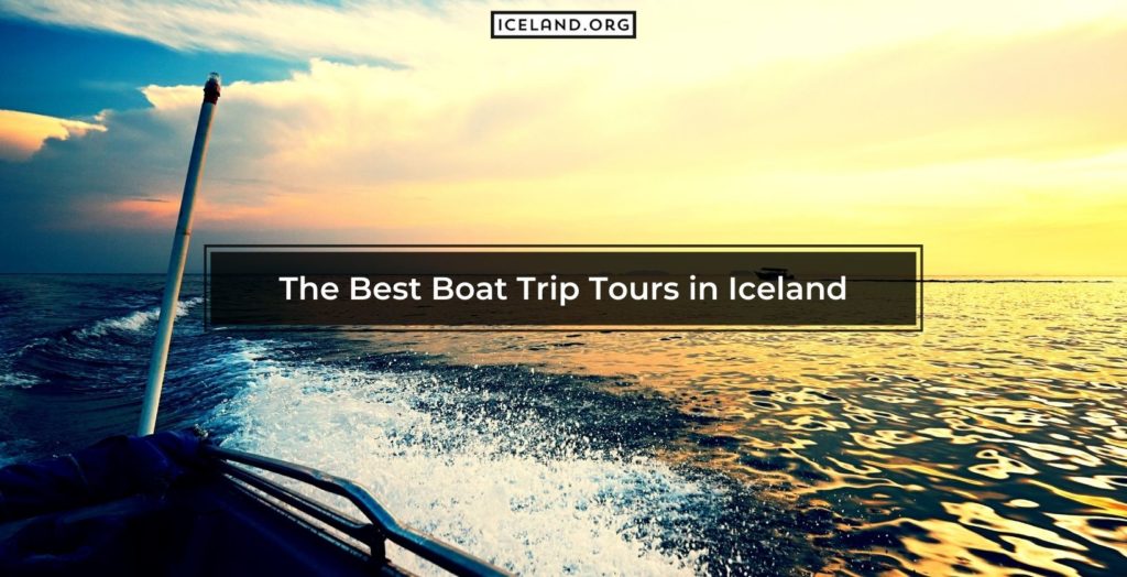 Best Boat Trip Tours in Iceland